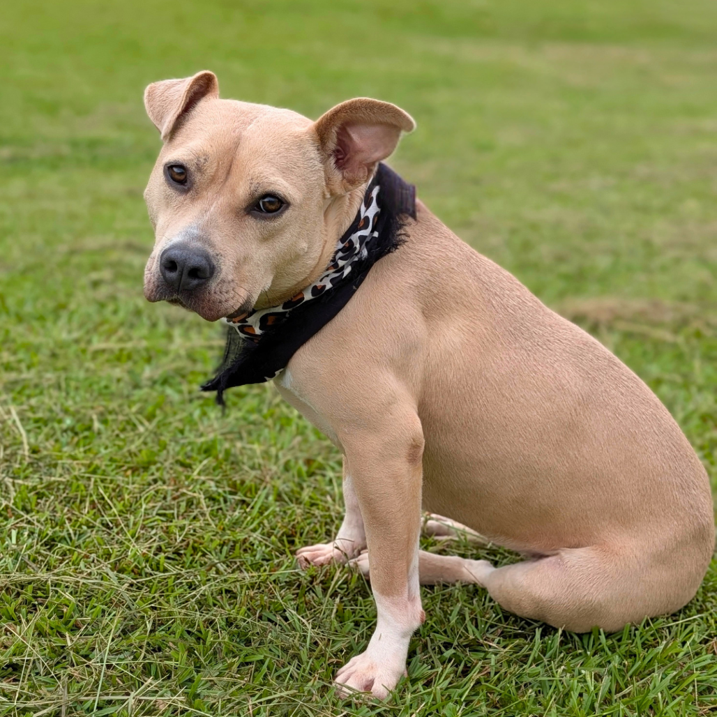 Pippa 01-1426, photo 14