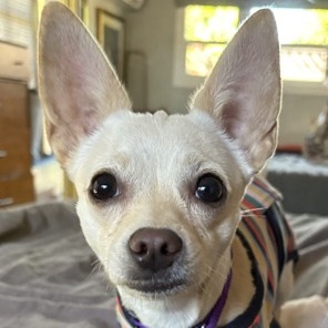 Animal named Peanut Animal named Peanut
