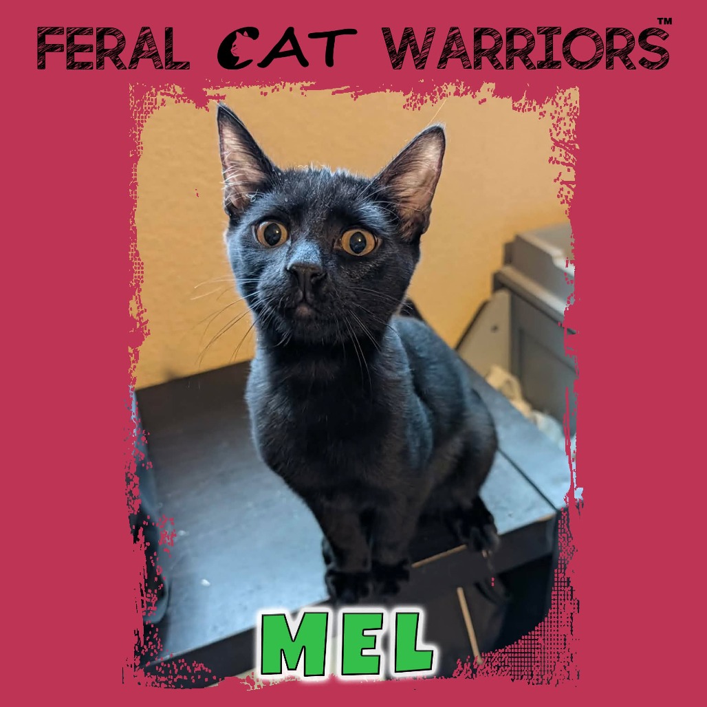 Mel 