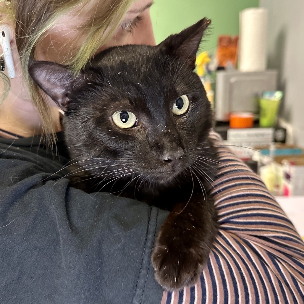 Edgar Eduardo — thumbnail 8