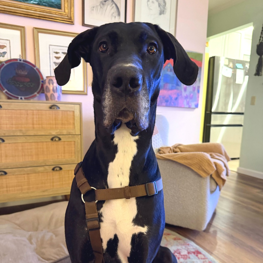 Lady — thumbnail 3