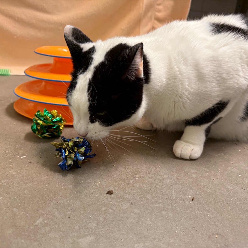 Photo of QZ and Freddy 14