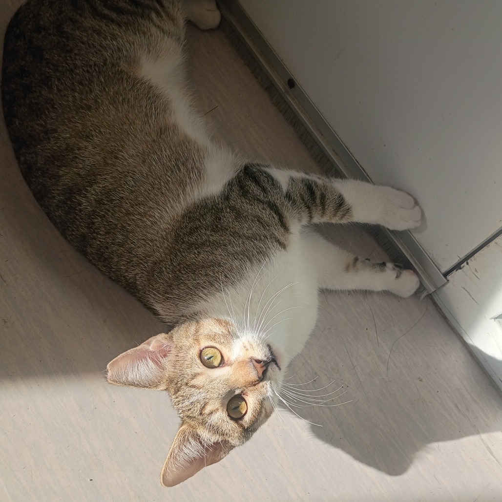 Benny