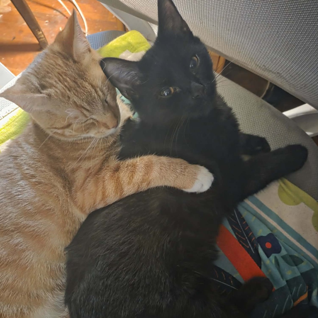 Blake — thumbnail 3