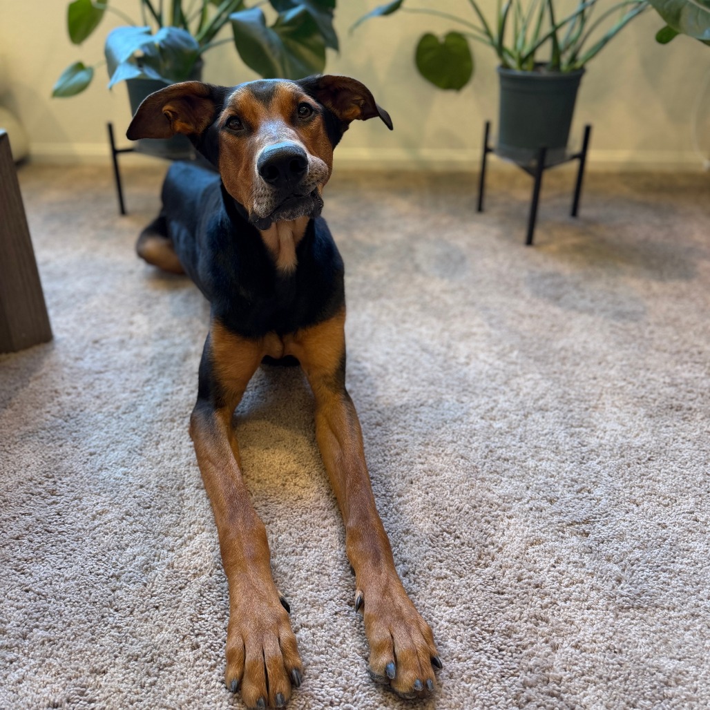 Jax In Foster