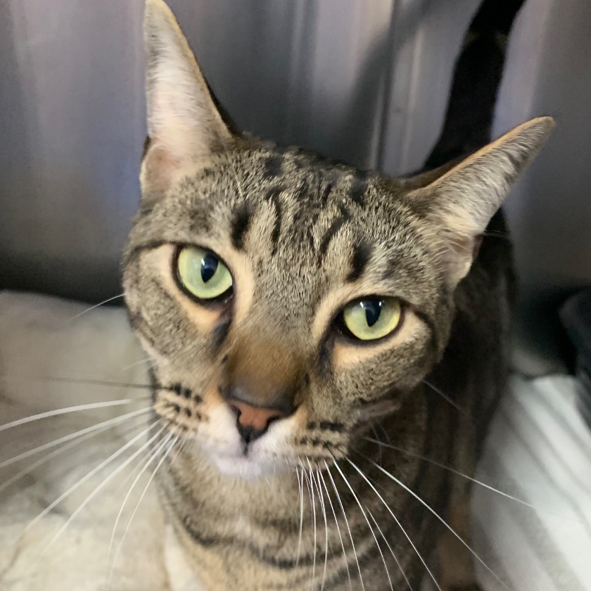 Photo of Jax playing