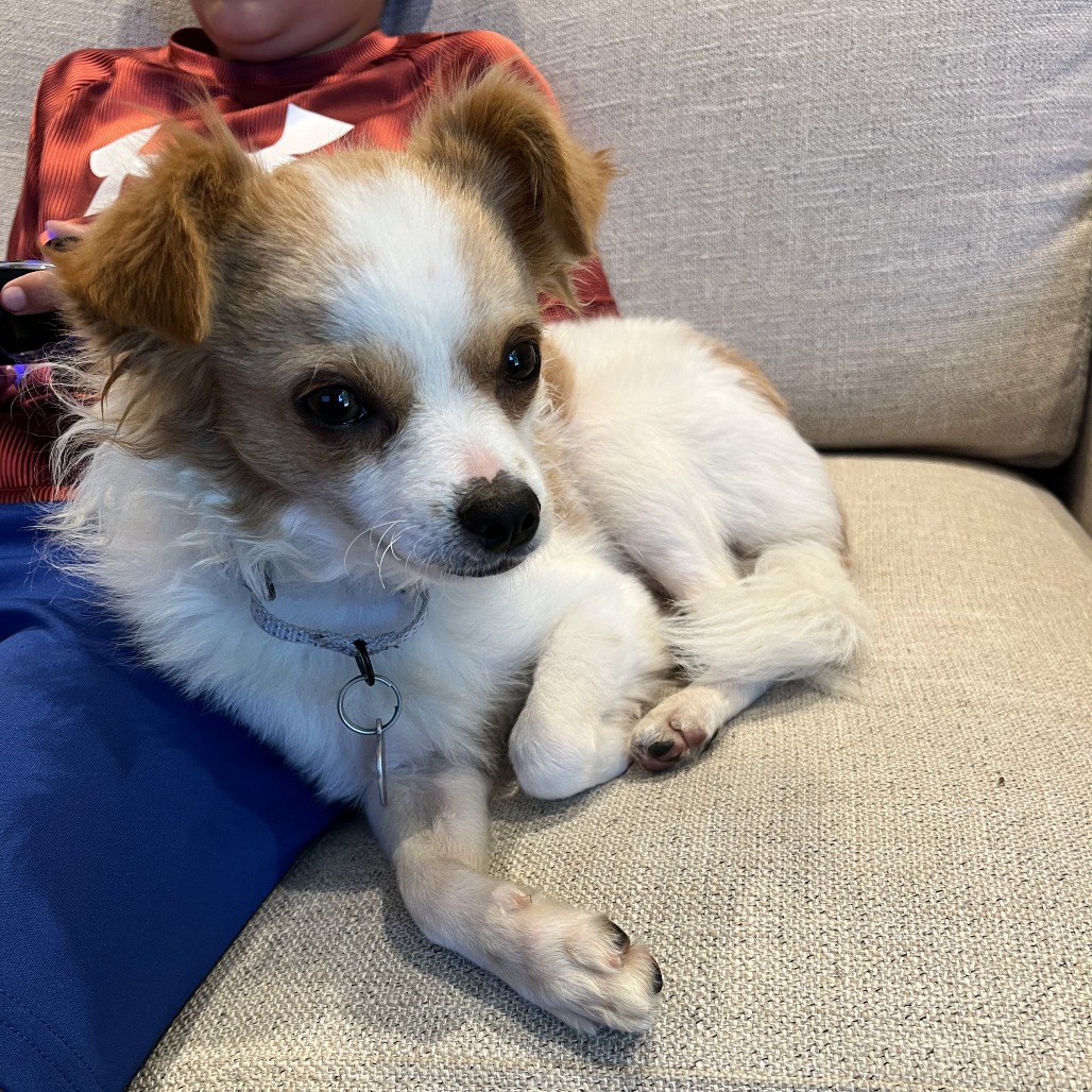 TATER TOT, photo 3