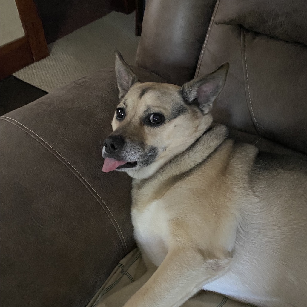Nova, photo 4