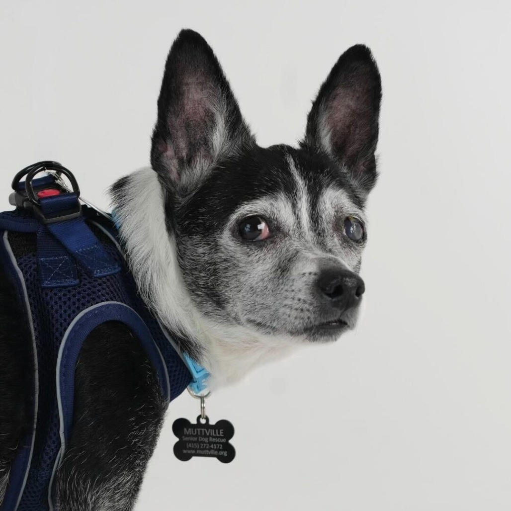 Guffman 13783 — thumbnail 2