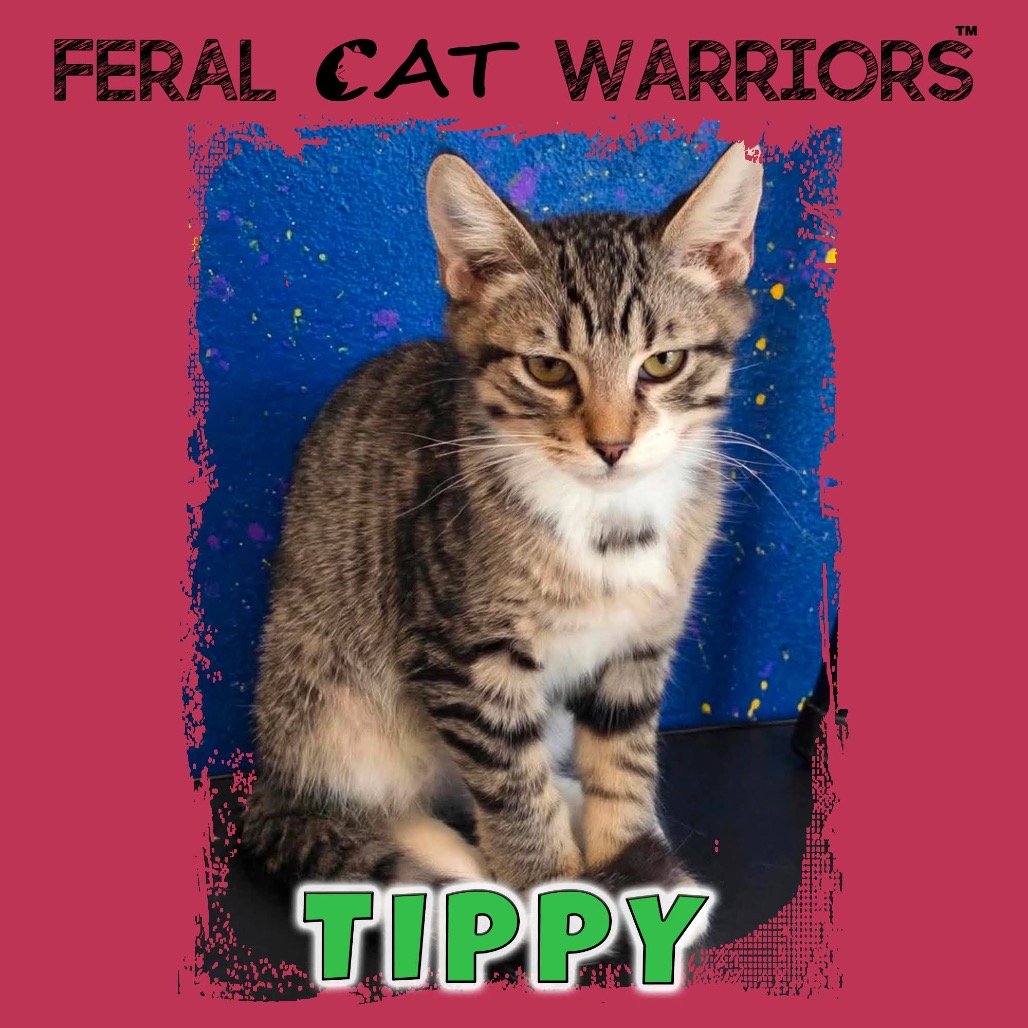 Tippy