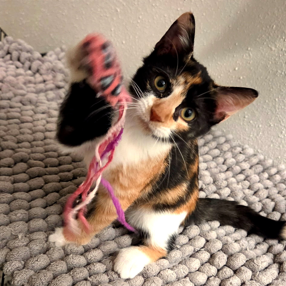 Lilah