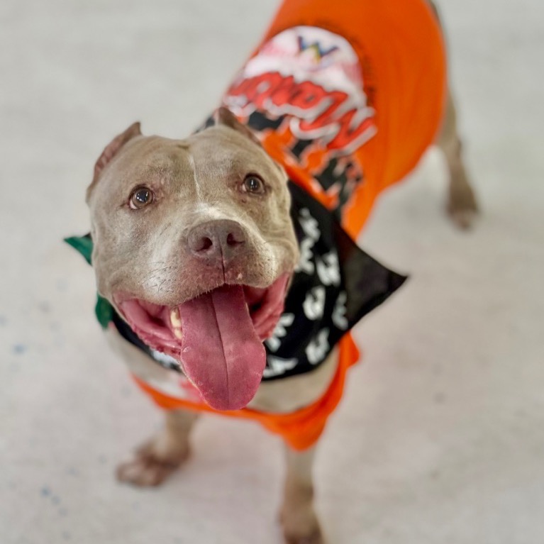 Another portrait of Paige