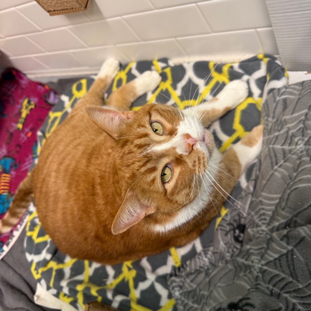 Photo of Freddy and QZ 6