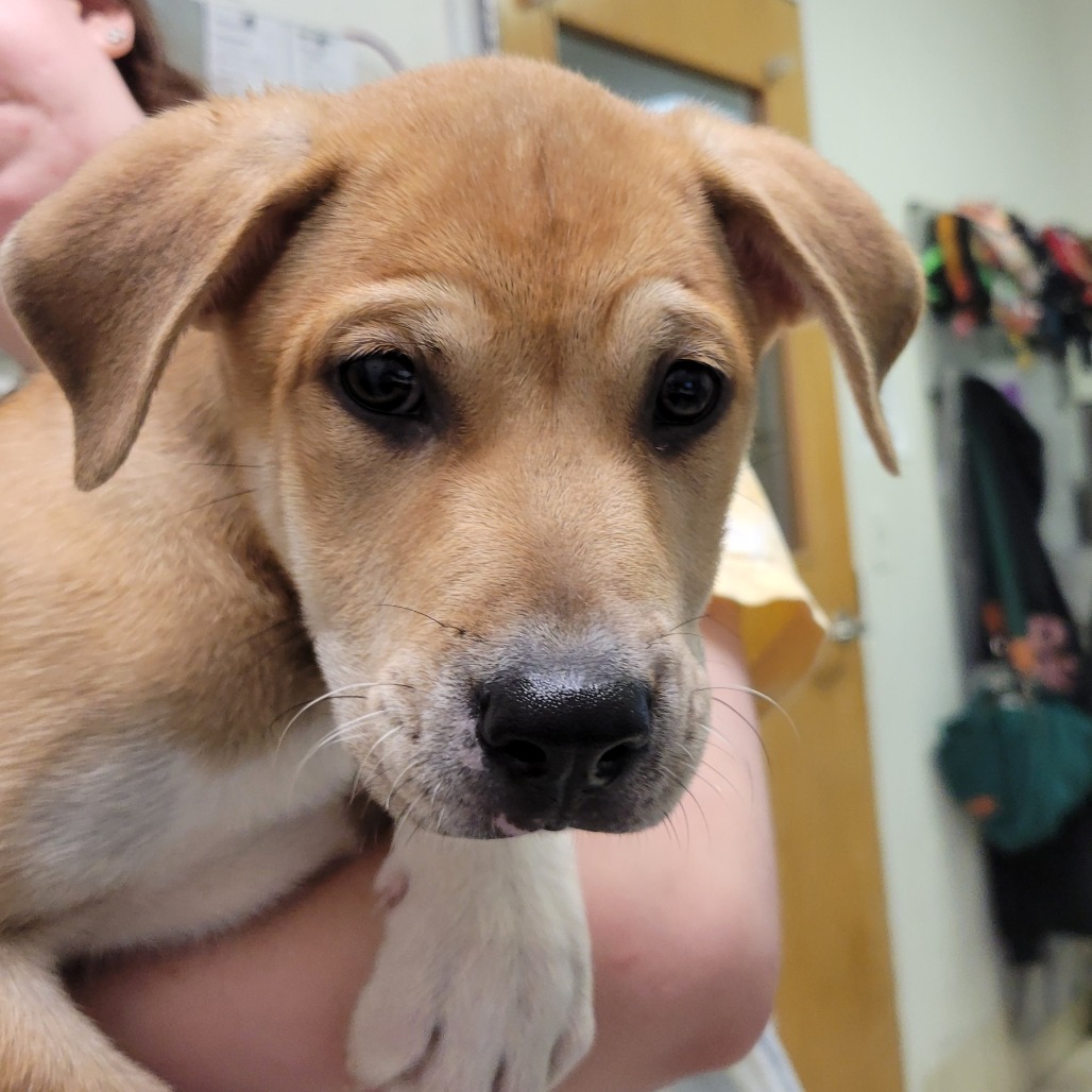 Selena — thumbnail 2