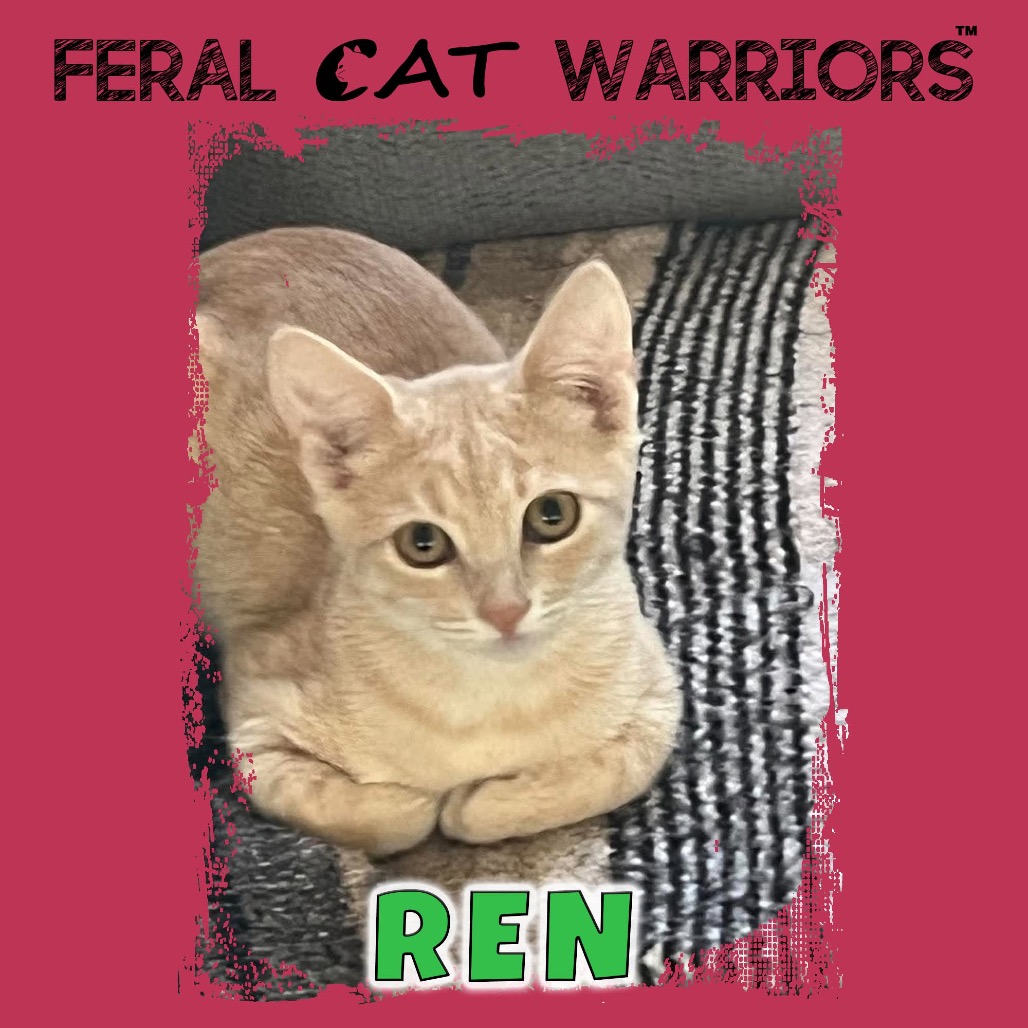 Ren