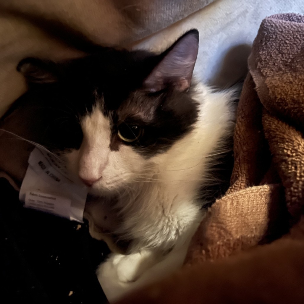 Mom Jeans picture #2