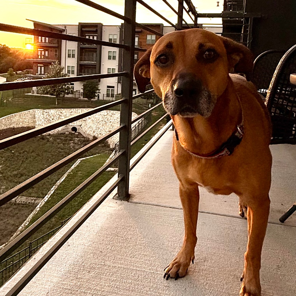 Honey — thumbnail 9