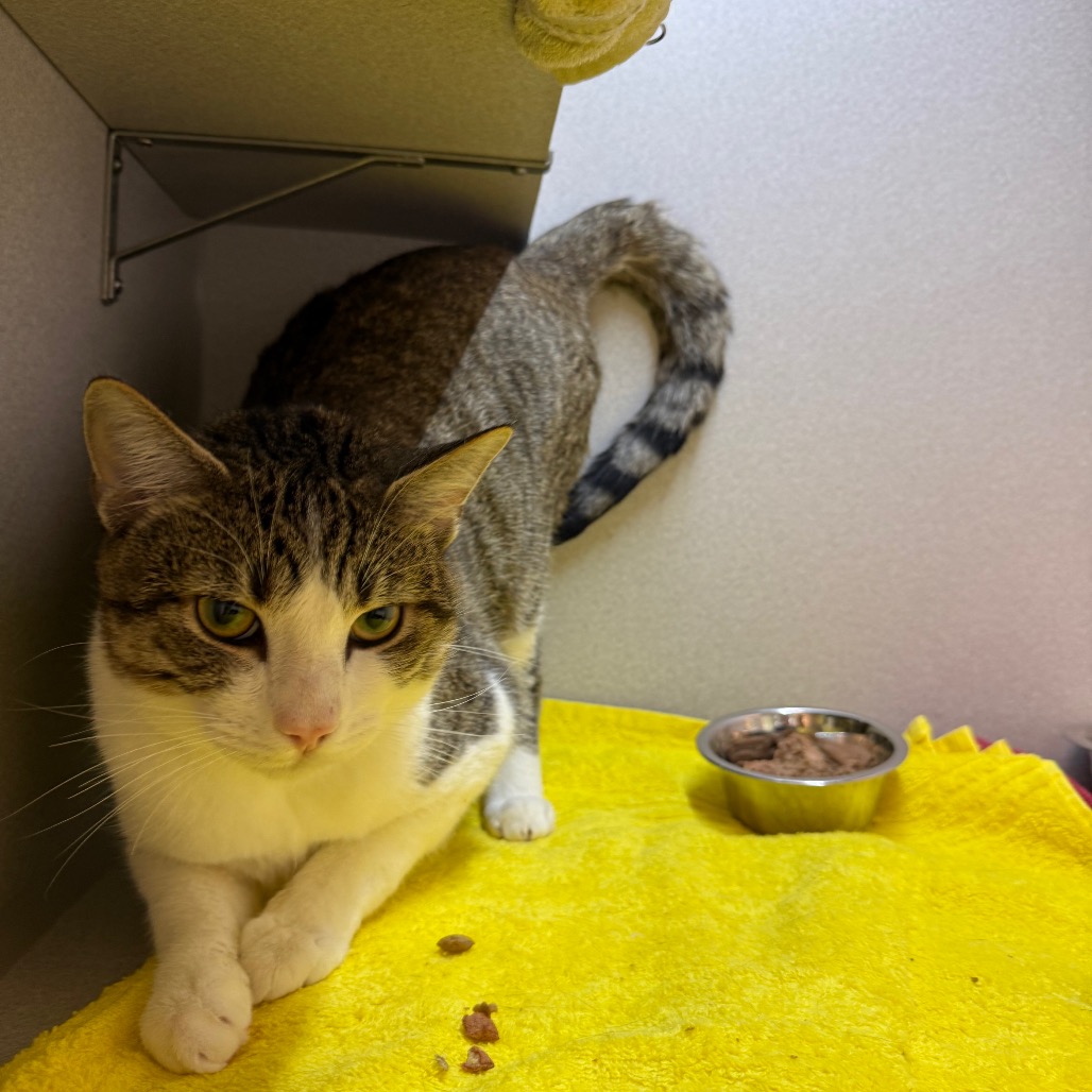 Photo of Nick Carraway 13