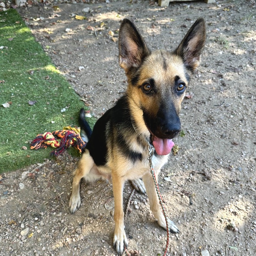 Andy — thumbnail 9