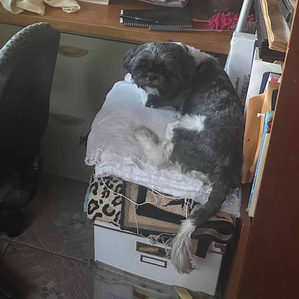 Bentley, photo 3