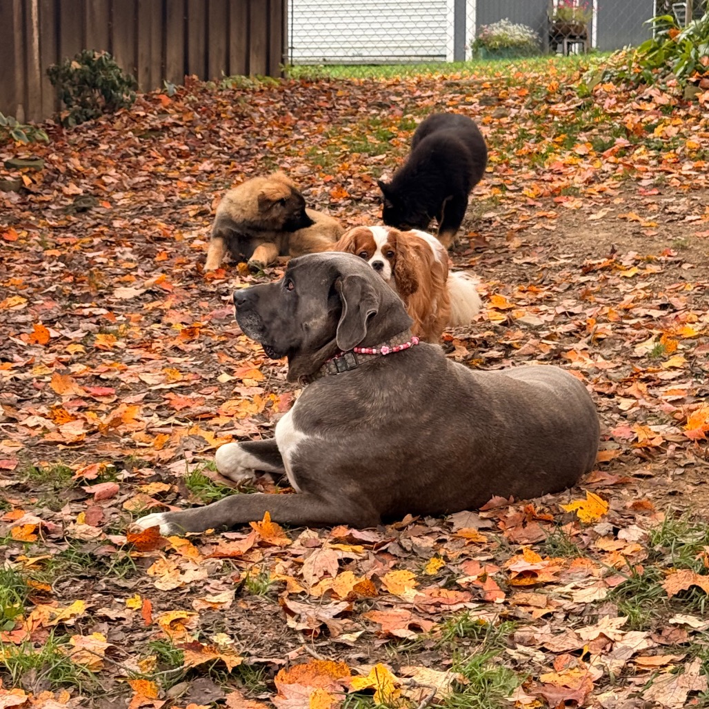 Big Luna, photo 22