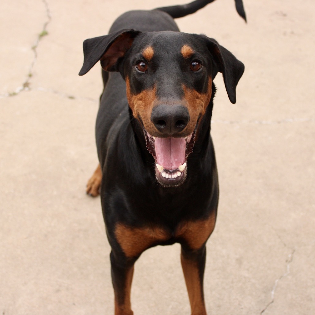 Thor photo 28