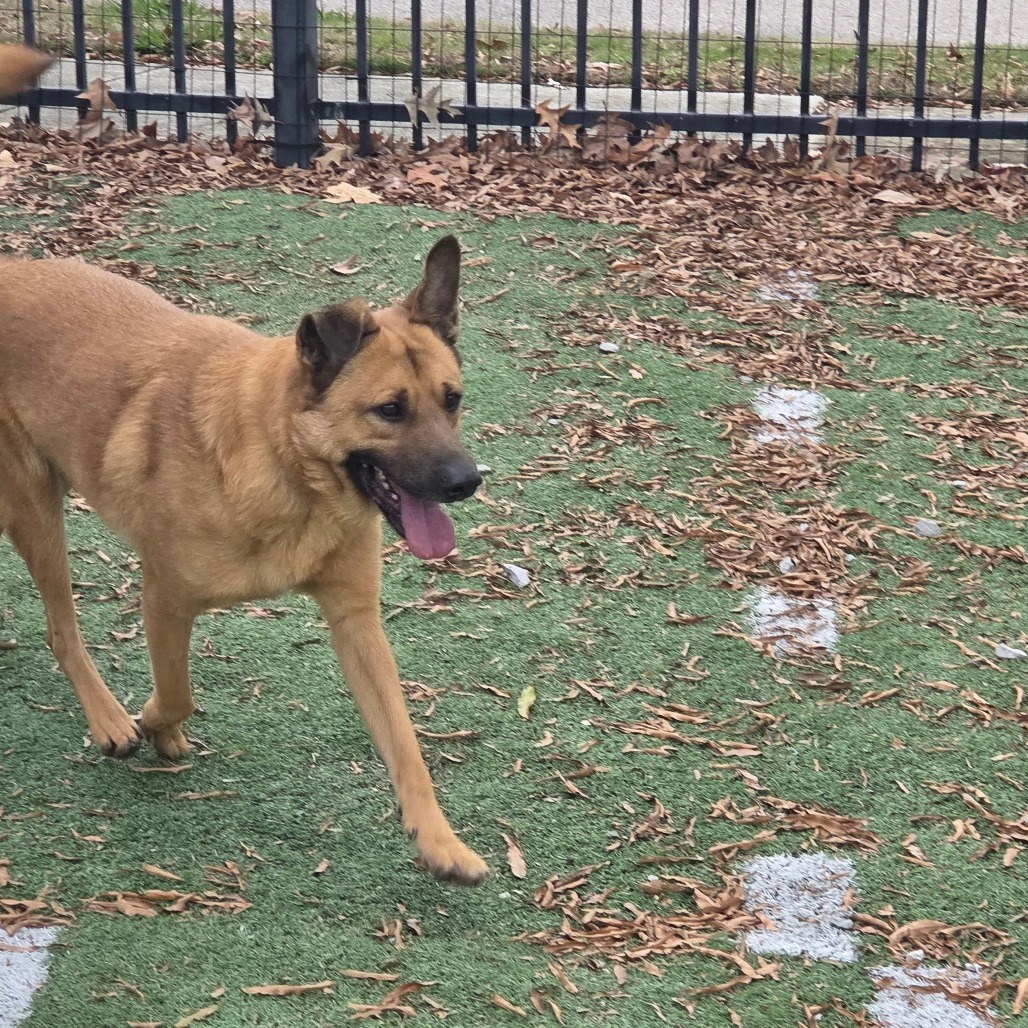 Sponge Bob — thumbnail 3