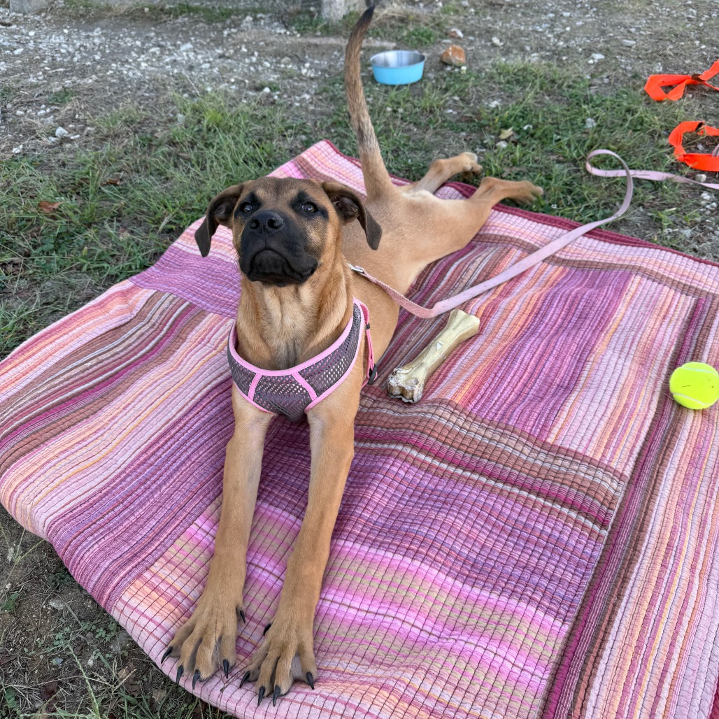 ELISE — thumbnail 11