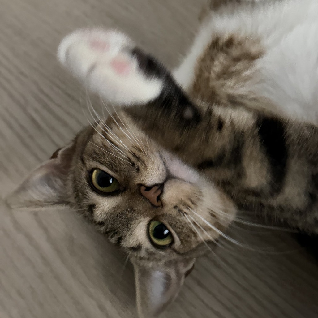 Juliette, photo 8