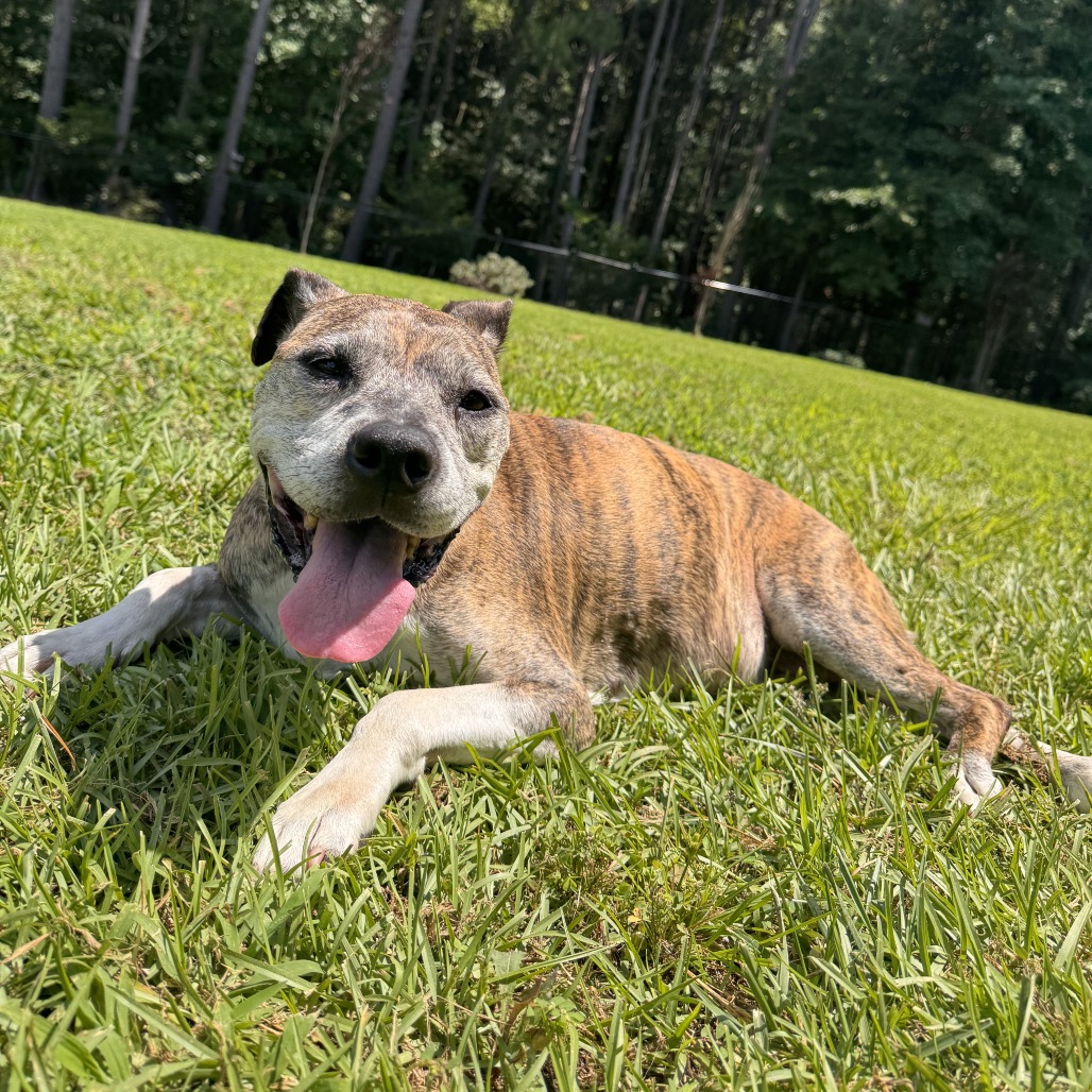 MeeMaw, photo 10