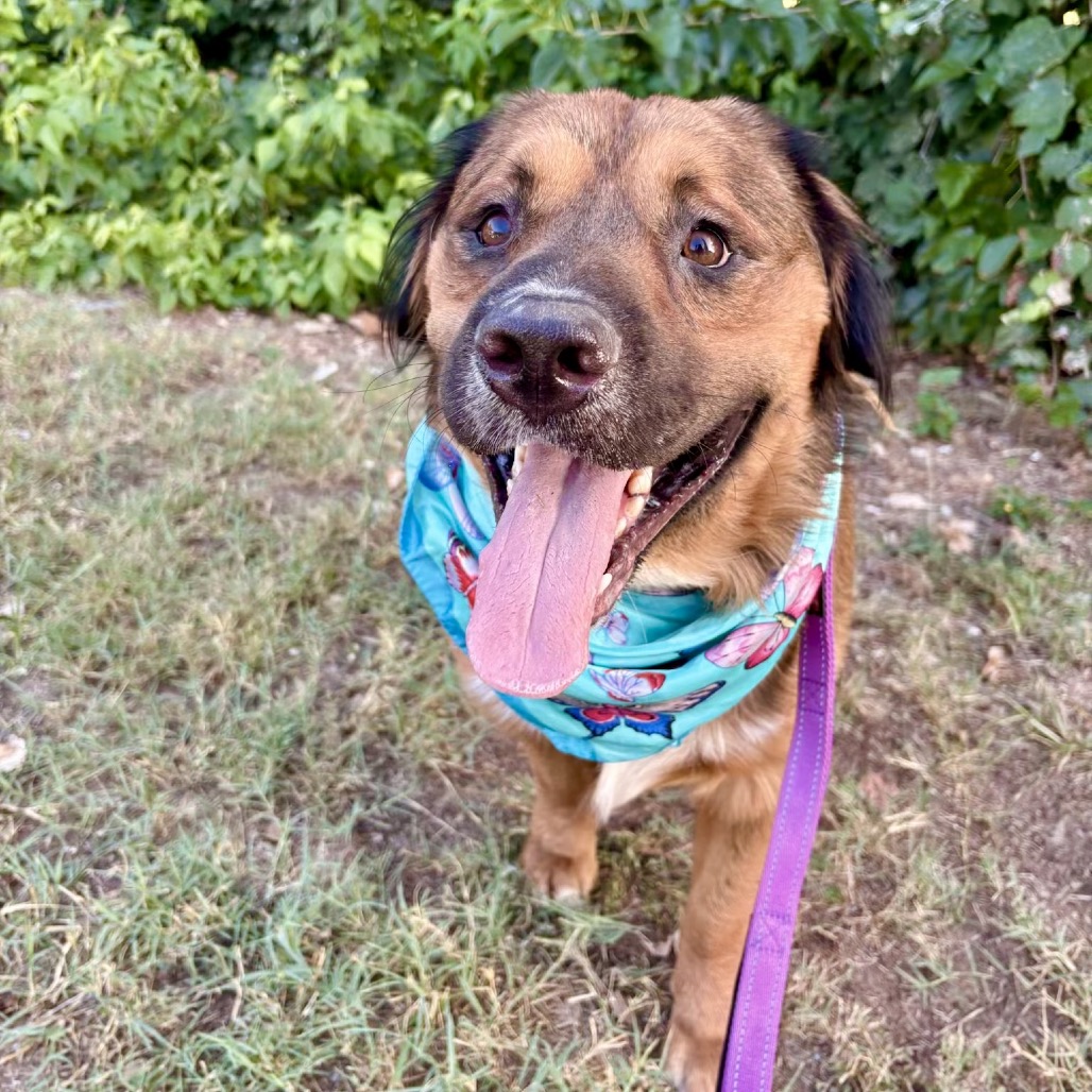 Lane — thumbnail 10