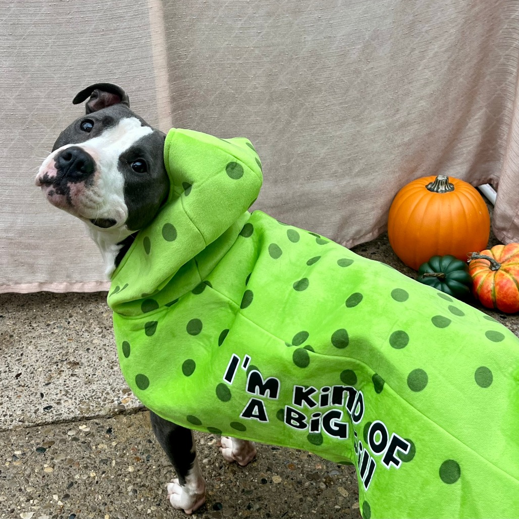 Pickle Crisp