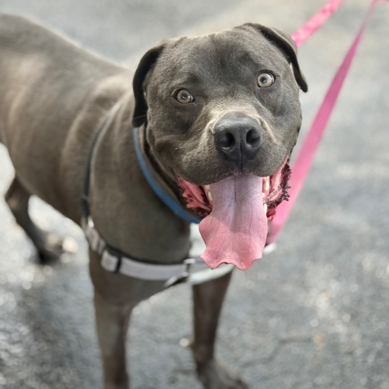 Close-up photo of Hollywood