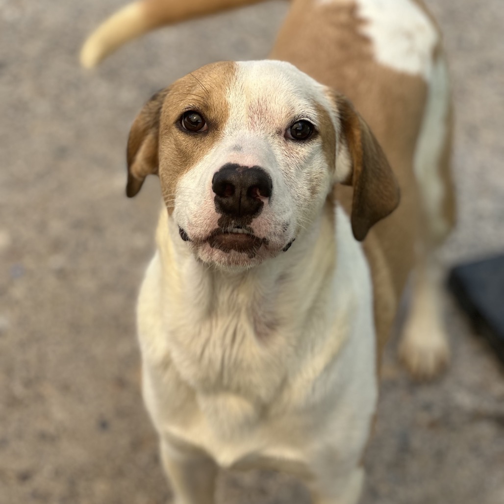 April — thumbnail 3