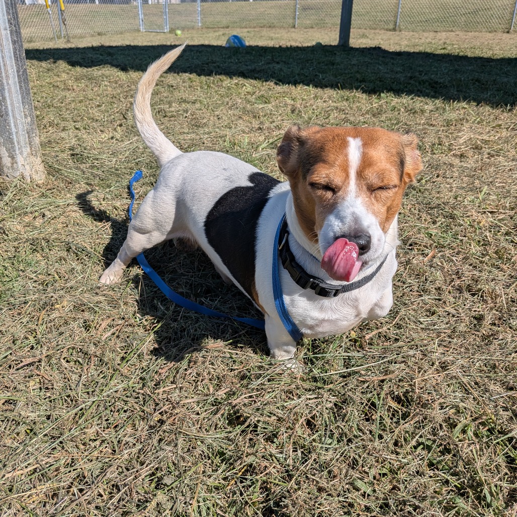 Frank, photo 3