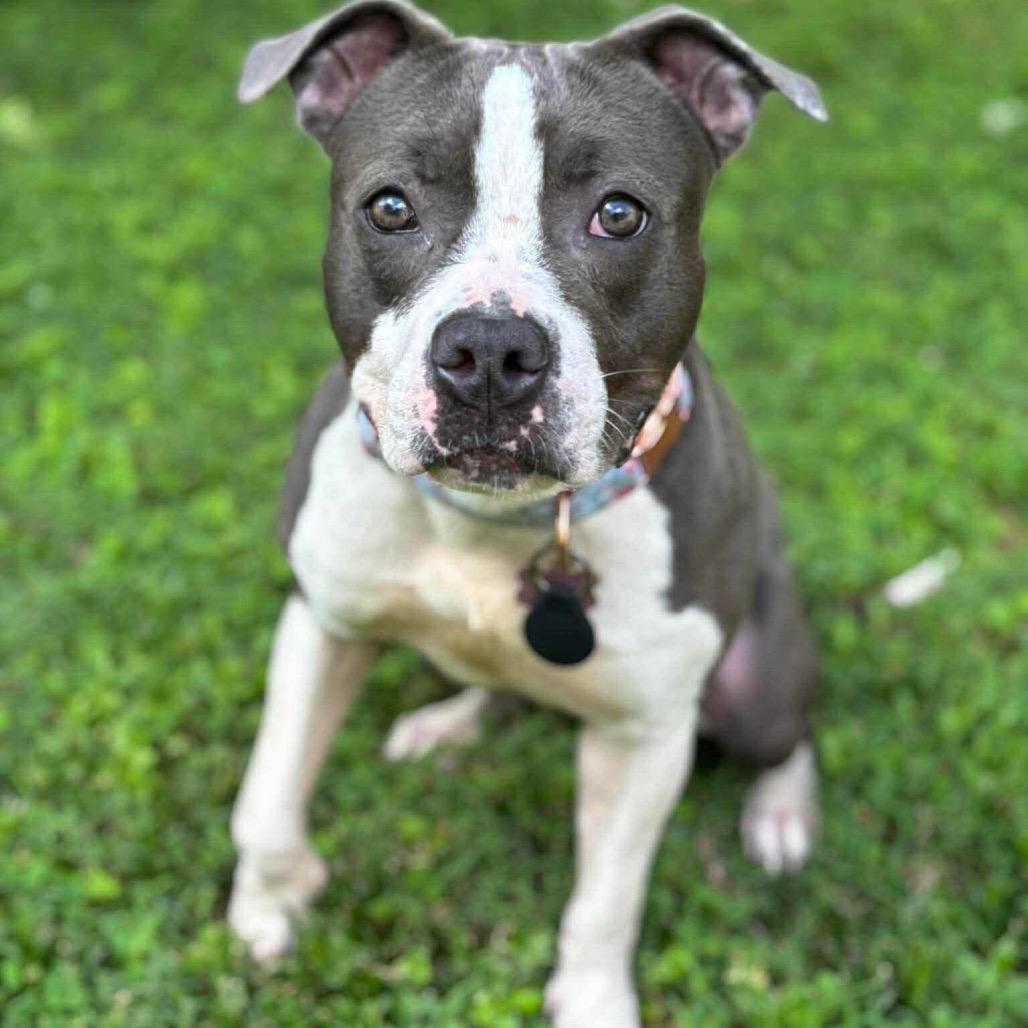 Ruby aka Woobie (Formerly Rosie), photo 7