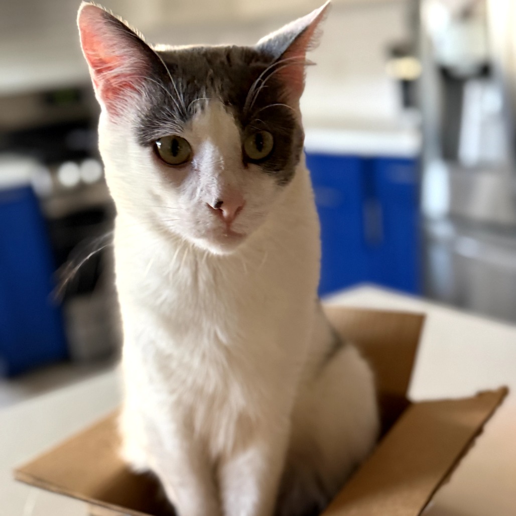 Daniel