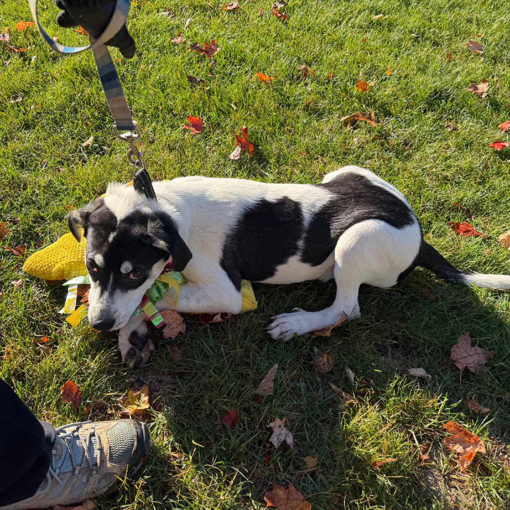 Tracker, photo 40