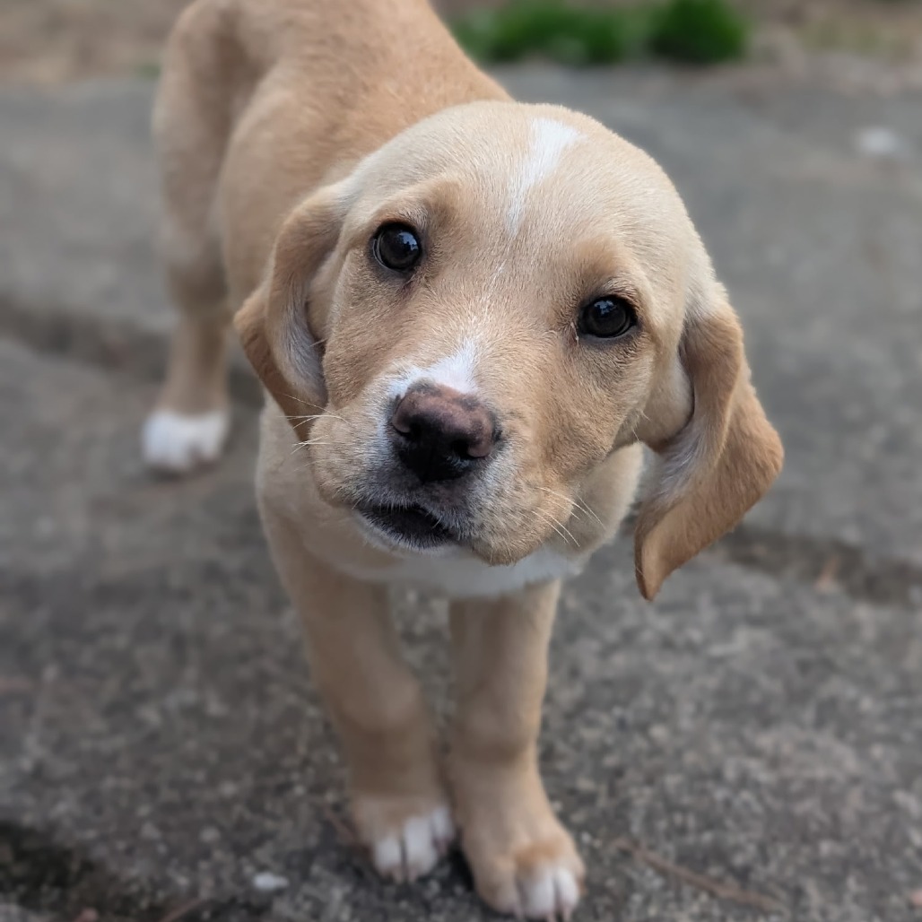 Natasha — thumbnail 2