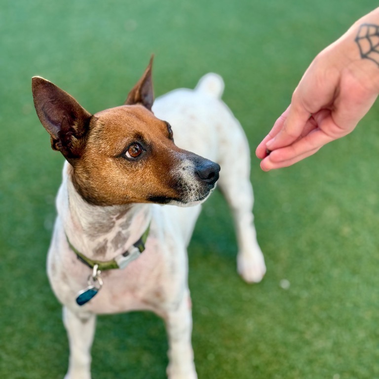 Photo of Ian playing