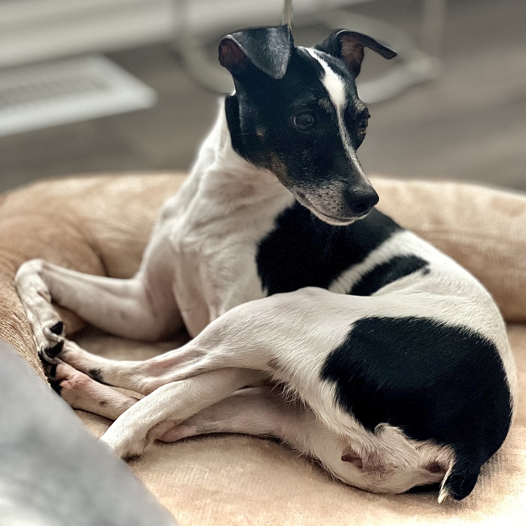 Casey — thumbnail 5