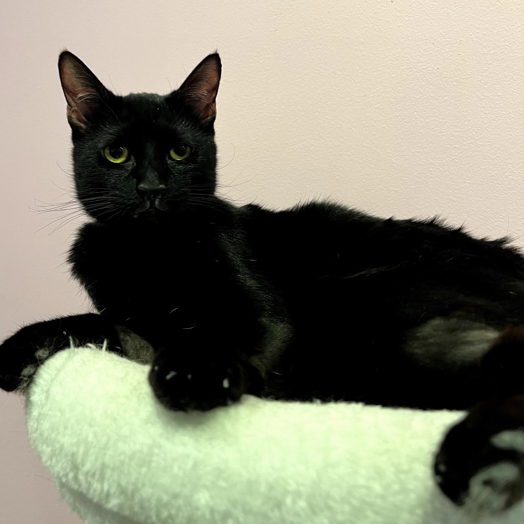 Mr. Snugglebutt