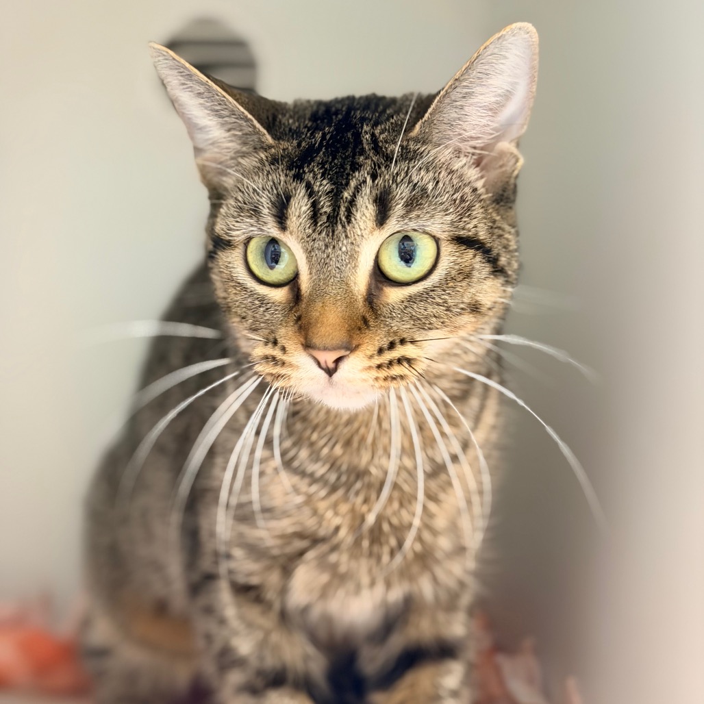 Minnie — thumbnail 2