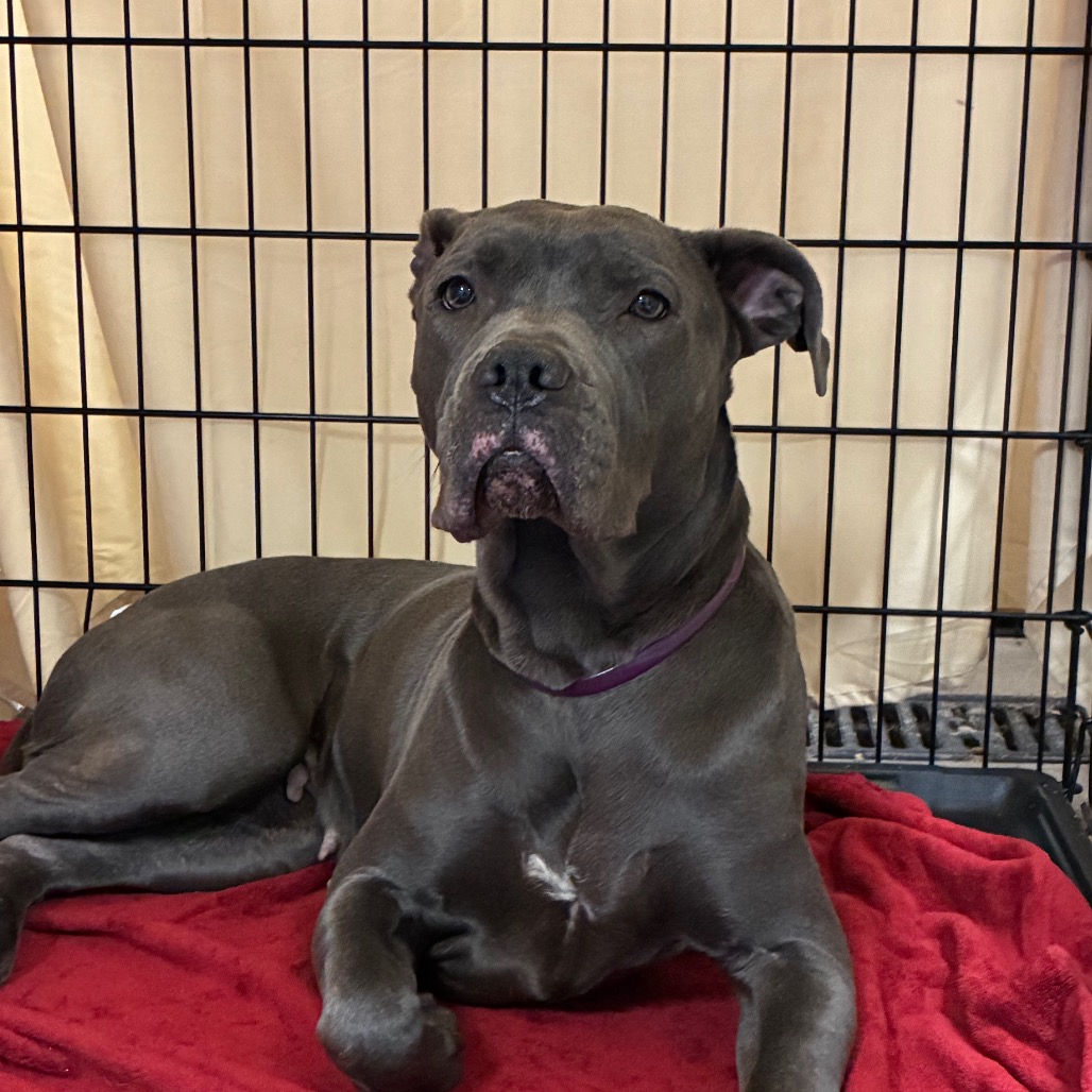 Stacey — thumbnail 3