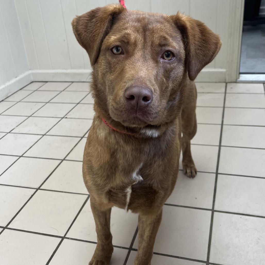 Pinky (One Eyed Willow)