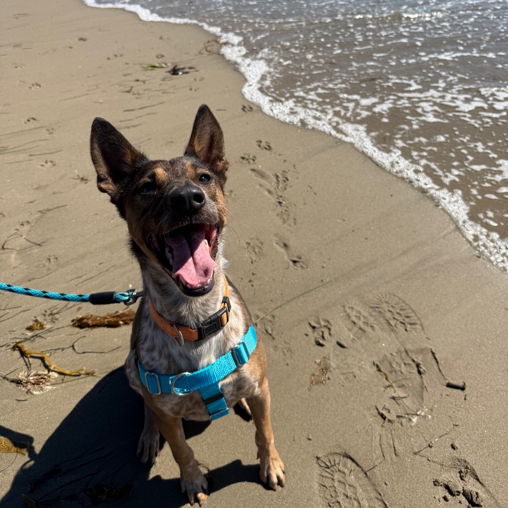 Cash, photo 27