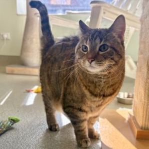 Shelli — thumbnail 4