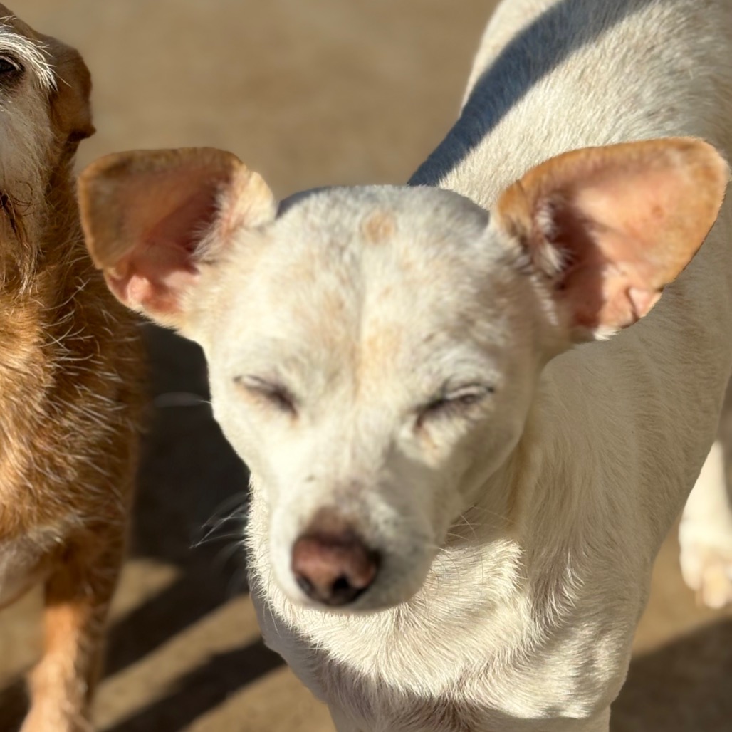 BAXTER — thumbnail 3