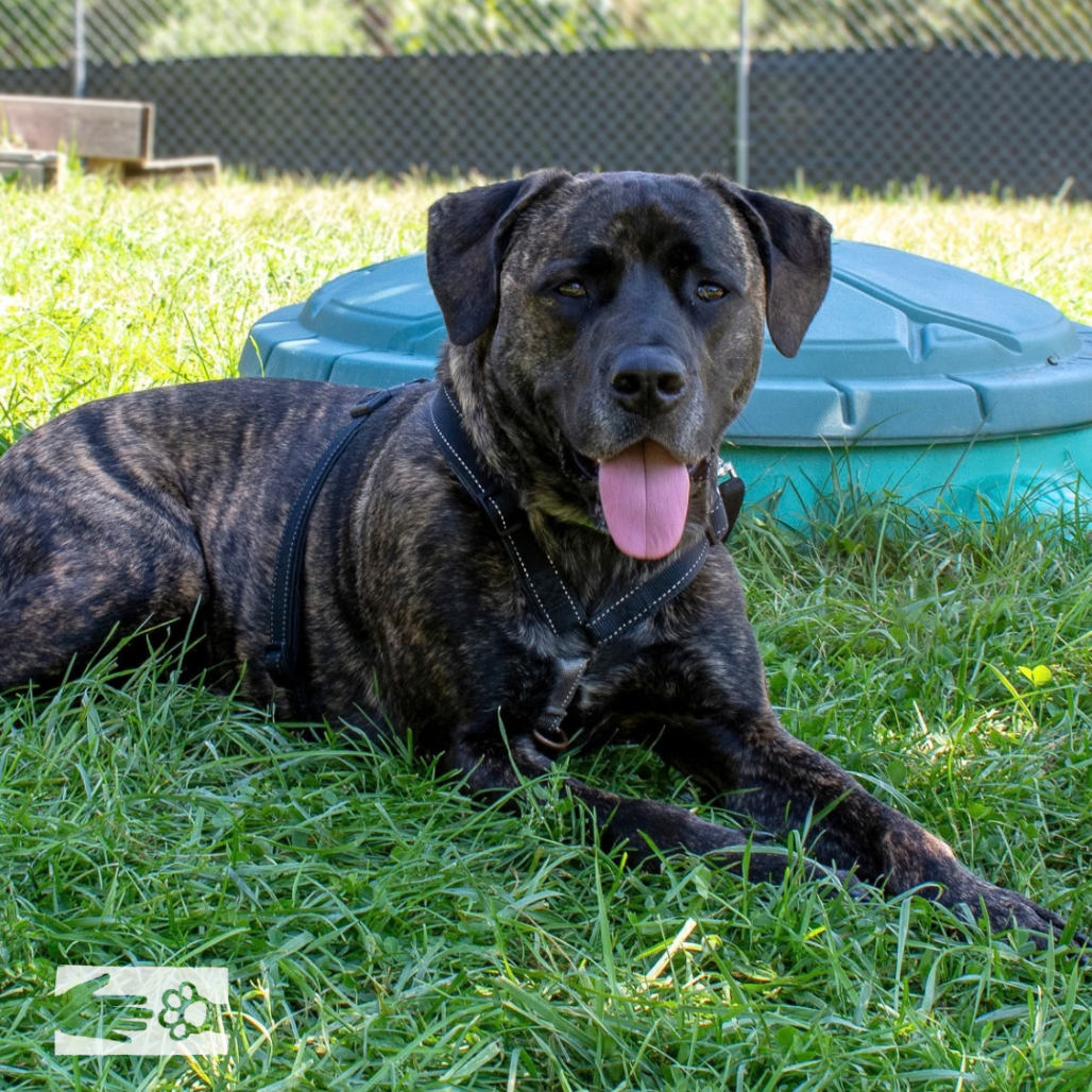 Earl, photo 10