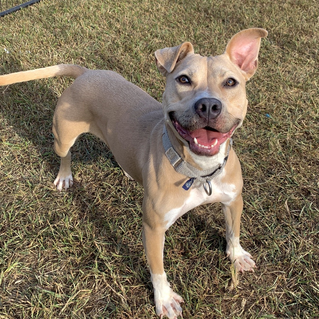 Pippa 01-1426, photo 8